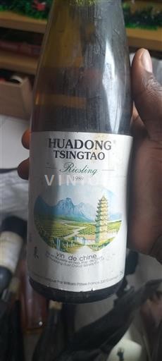 Shandong Huadong Tsingtao 1989