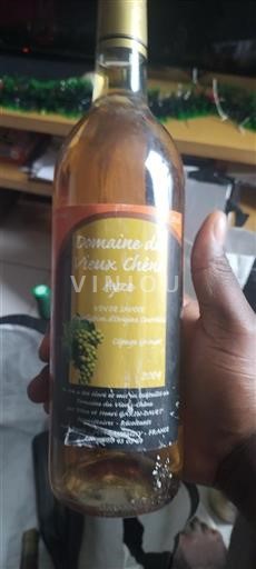 Sydvestfrankrig Côtes de Gascogne Domaine Vieux Chêne 2019