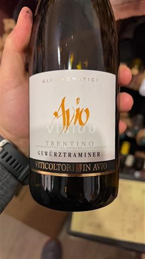 Emilia-Romagna Reggiano Viticoltori in Avio Gli Aromatici 2024