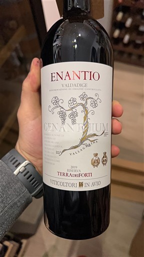 Trentino-Sydtyrol Höga Adige Viticoltori in Avio Oenantium 2019