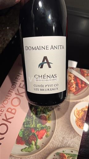 Beaujolais Chénas Domaine Anita P'tit Co Les Brureaux 2024