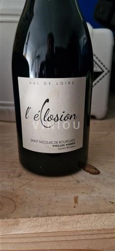 Thung lũng sông Loire Saint-Nicolas-De-Bourgueil Sylvain Bruneau l'éclosion Vieilles Vignes Không niên vụ
