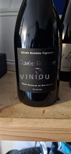 Loirevallei Saint-Nicolas-De-Bourgueil Sylvain Bruneau Réserve Niet-geïntegreerd