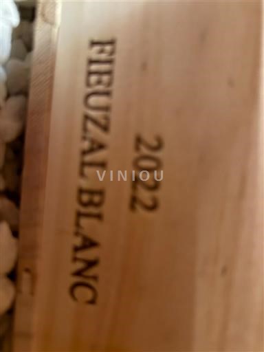 Savoie og Bugey Abymes Fieuzal 2022