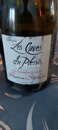 Valle della Loira Saint-Nicolas-De-Bourgueil Domaine Les Caves du Plessis Réserve Stéphanie Senza annata