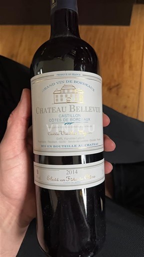 Bordeaux Castillon-côtes-de-bordeaux Château Bellevue 2014