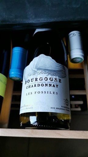 Bourgogne Bourgogne Chardonnay Vignerons des Grandes Vignes Les Fossiles 2022