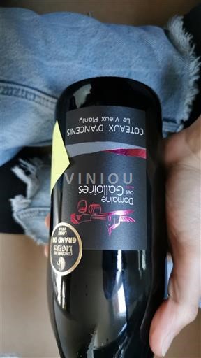 Thung lũng sông Loire Coteaux-d'ancenis Domaine Des GalloIres Le Vieux Planty 2022