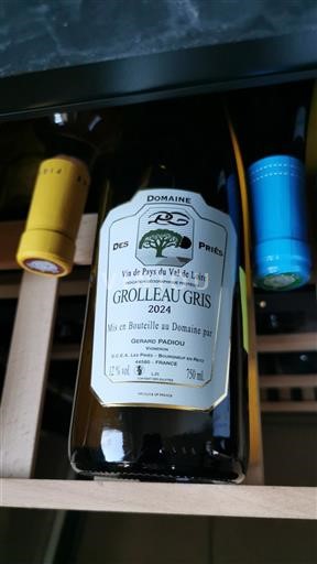 Valle della Loira Loira Atlantica Domaine S Priès Grolleau Gris 2024