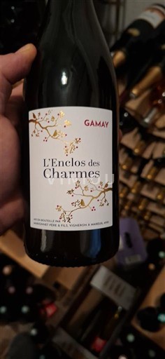 Beaujolais L'Enclos des Charmes Não Sazonado