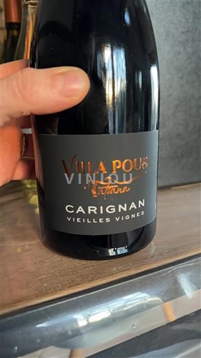 Languedoc in Roussillon Katalonske obale Villa Pous Carignan Vieilles Vignes 2024