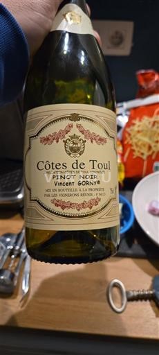 Lothringen Côtes-de-toul Vincent Gorny 2024