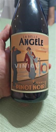 Viner Rouge sec Pinot Noir La Belle Angèle 2023 Frankrike Loiredalen Ospecificerad AOC