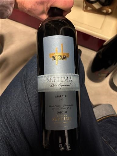 Mendoza Non specificato Septima Lote Especial 2021