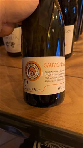 Loire Valley Touraine Pourquoi Pas Sauvignon 2023