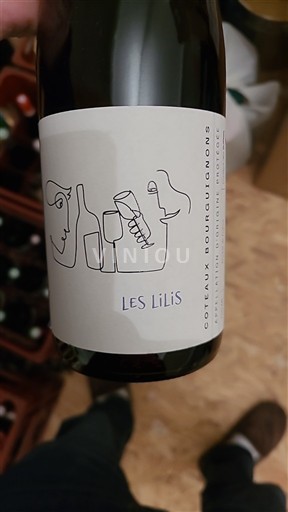 Bourgogne Bourgogne skråninger Les Lilis Ikke årgangsbestemt