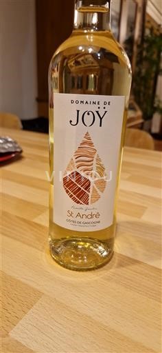 Sud-Ouest Côtes de Gascogne Domaine Joy St André 2024