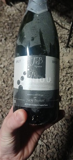 Valle della Loira Crémant-de-Loire Les Bruyères La Bulfine Senza annata