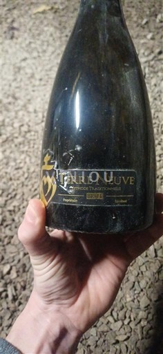 Loirevallei Crémant de Loire Terre Neuve Brut Niet-geïntegreerd