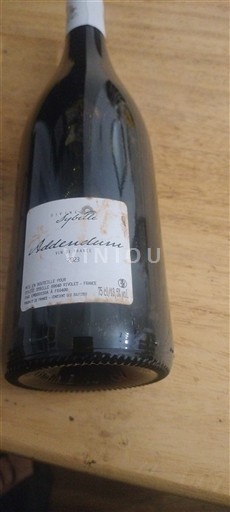 Valle della Loira Pouilly-sur-Loire Domaine L'Abbeye Sybille Addendum 2023