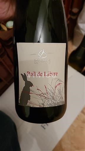 Valle della Loira Anjou Domaine S Forges Poil de Lièvre Senza annata