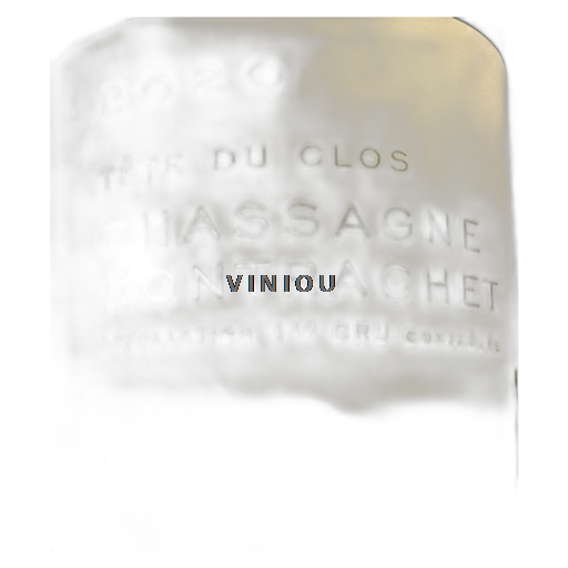 Bourgondië Niet gespecificeerd Premier Cru Domaine Vincent Dancer Tête du Clos 2020