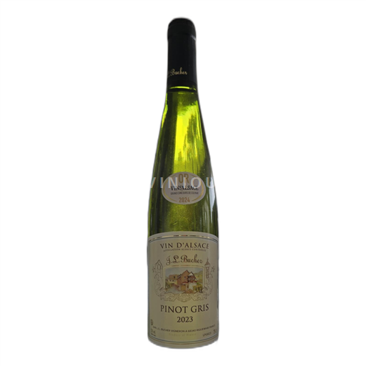Alsácia Não especificado Domaine Bucher PINOT GRIS 2023