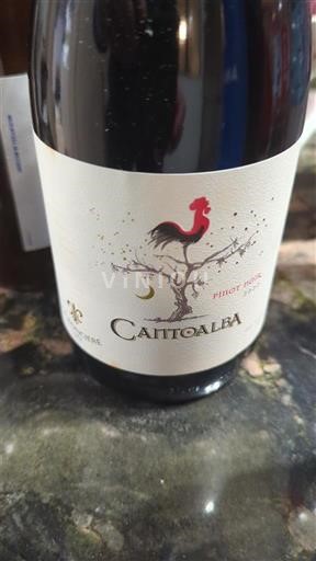 Thung lũng Casablanca Cantoalba Pinot Noir 2022