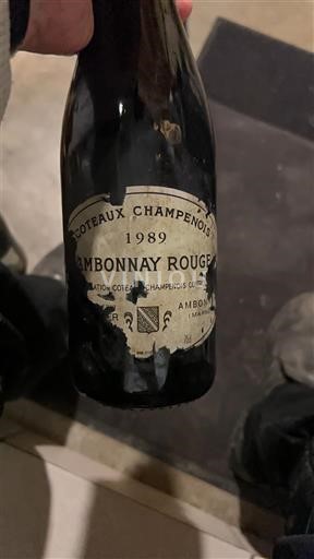 Šampanja Coteaux Champenois Ambonnay Rouge 1989