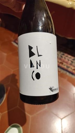Langvedok Languedoc Bancalis / Perrenoud Quiroga Blanco 2024