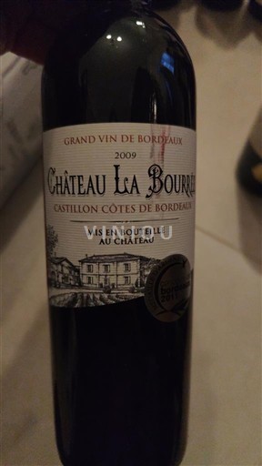 Bordeaux Castillon-côtes-de-bordeaux Château La Bourree 2009