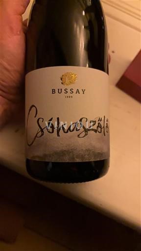 Balatonsøen Ikke specificeret BUSSAY Csokaszló 2024