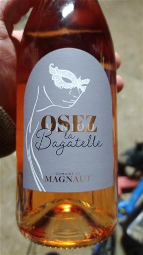 Zuidwest-Frankrijk Côtes de Gascogne Domaine Magnaut Osez la Bagatelle Niet-geïntegreerd