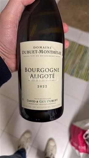 Bourgondië Bourgogne Aligoté Domaine BUET-MONTHELIE 2022