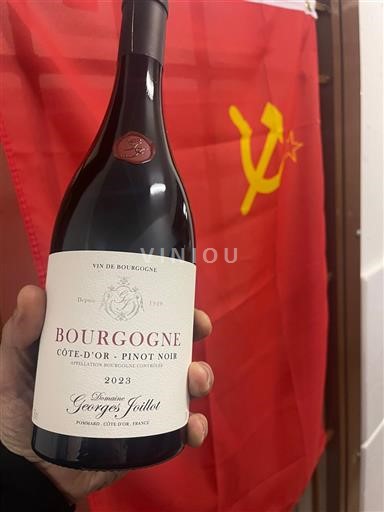 Bourgogne Bourgogne Côte d'Or Domaine Georges Joillot Côte-d'Or - Pinot Noir 2023