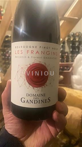 Bourgondië Bourgogne Domaine S Gandines Les Frangins 2023