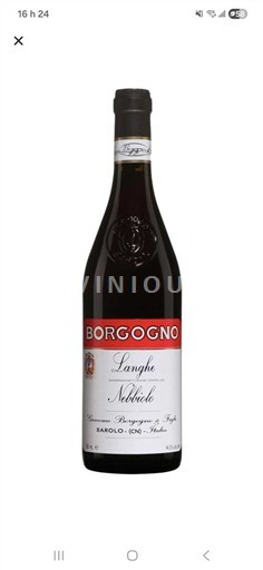 Piemonte Không được chỉ định Borgogno Langhe Nebbiolo 2023