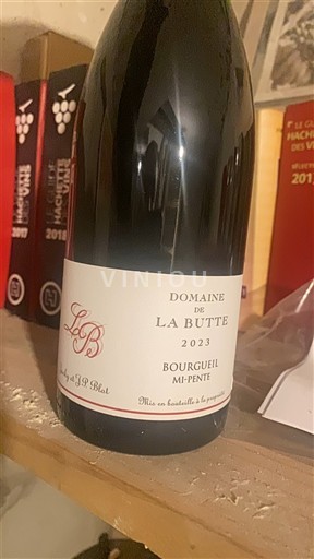 Valle della Loira Bourgueil Domaine La Butte Mi-Pente 2023