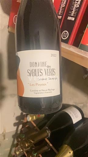 Vallée de la Loire Saumur-champigny Domaine S Sables Verts Les Poyeux 2022