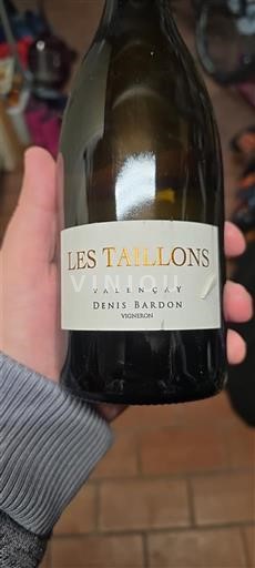 Valle della Loira Valençay Denis Bardon Les Taillons 2019