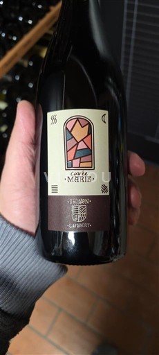 Valle della Loira Chinon Pascal Lambert Marie 2020