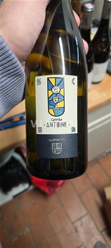 Thung lũng sông Loire Saumur Lambert Antoine 2022