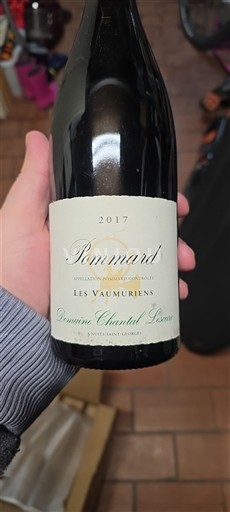 Wines Rouge sec Les Vaumuriens Domaine Chantal Lescure 2017 France Burgundy Pommard AOC