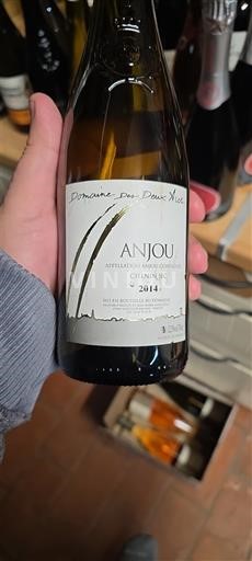 Valle della Loira Anjou Domaine S Deux Arcs 2014