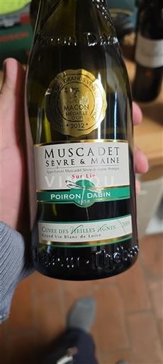 Valle della Loira Muscadet Sèvre et Maine Poiron Dabin des Vieilles Vignes Sur Lie 2009