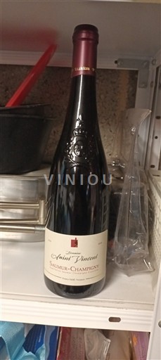 Valle della Loira Saumur-Champigny Saint Vincent 2019
