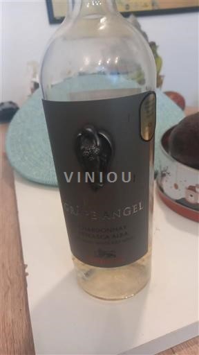 Languedoc ja Roussillon Pays d'Oc Grey Angel Ei vuosikertaa