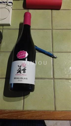 Beaujolais Anthony Perol 2023