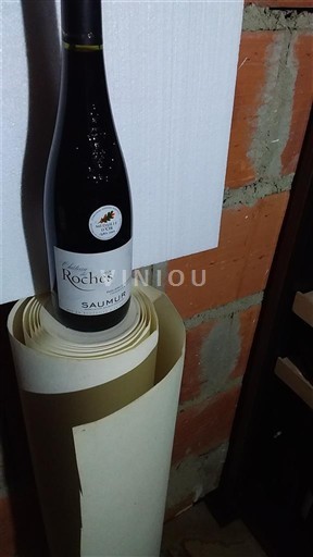 Valle della Loira Saumur Les Roches Senza annata