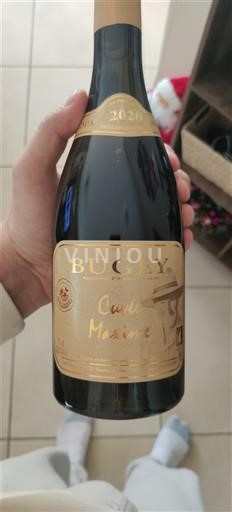 Savoie và Bugey Bugey Buggy Maxime 2020